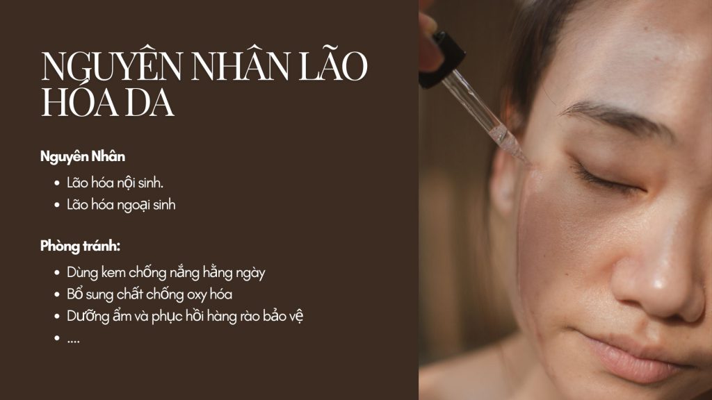 nguyên nhân lão hóa da và cách phòng tránh